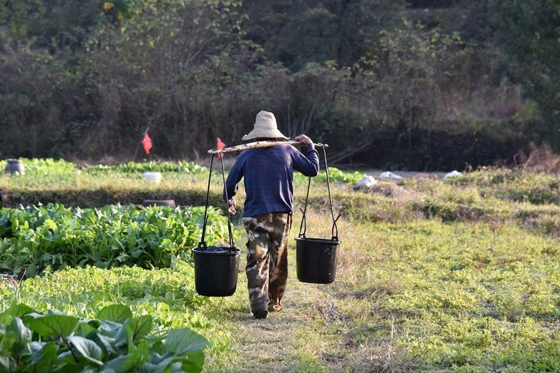 把丽江带回武汉，华中民宿第一村，木兰山下的隐世美宿