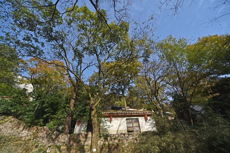 把丽江带回武汉，华中民宿第一村，木兰山下的隐世美宿