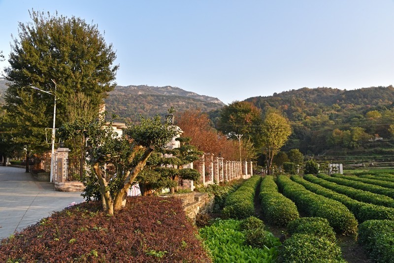 把丽江带回武汉，华中民宿第一村，木兰山下的隐世美宿