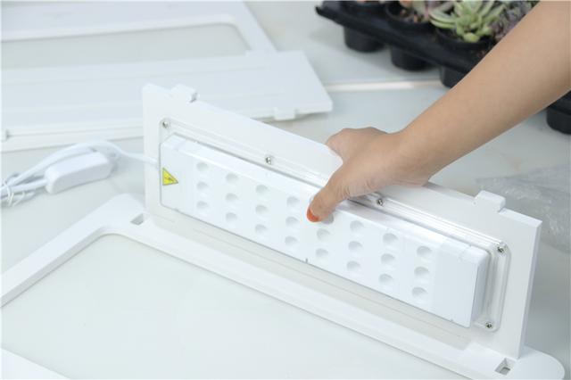 自带人造阳光，多肉植物才养的好！Miniature种植机体验