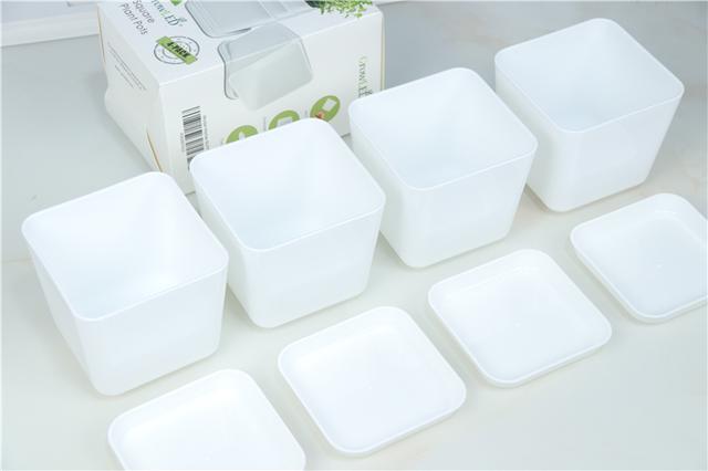 自带人造阳光，多肉植物才养的好！Miniature种植机体验