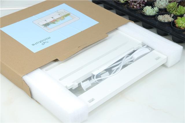 自带人造阳光，多肉植物才养的好！Miniature种植机体验