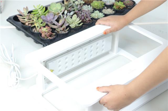 自带人造阳光，多肉植物才养的好！Miniature种植机体验