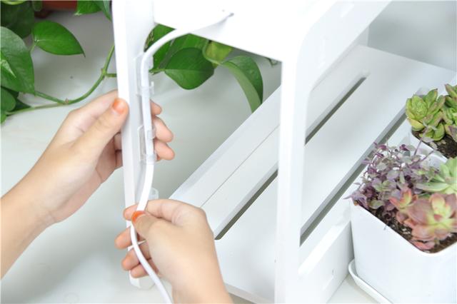 自带人造阳光，多肉植物才养的好！Miniature种植机体验