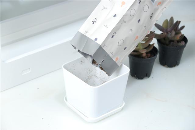 自带人造阳光，多肉植物才养的好！Miniature种植机体验