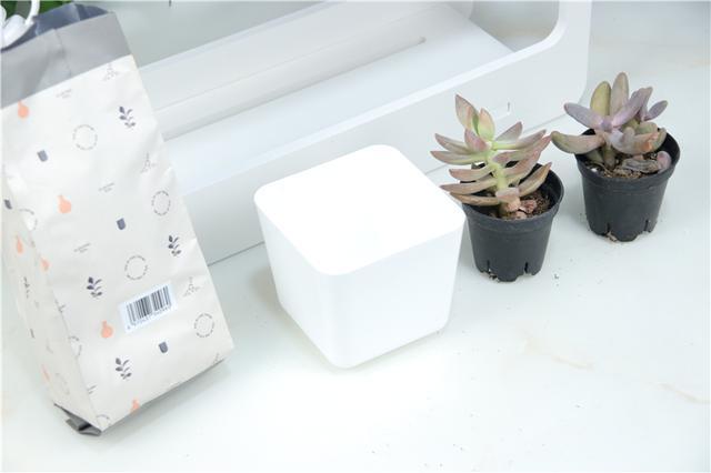 自带人造阳光，多肉植物才养的好！Miniature种植机体验