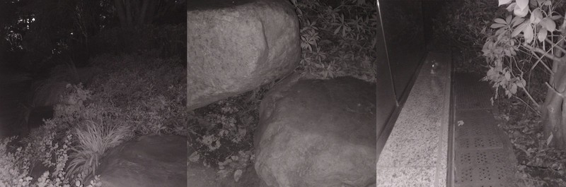 超低温电池+热成像+红外夜视，三项硬核功能，AGM G1系列手机玩明白了