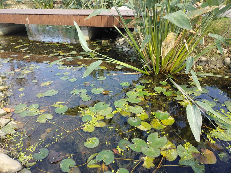 超低温电池+热成像+红外夜视，三项硬核功能，AGM G1系列手机玩明白了