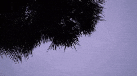 新手拍视频选对不选贵，飞宇AK2000C三轴微单稳定器评测