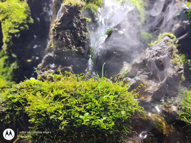 首款骁龙870手机MOTO edges，使用一个月后谈体验