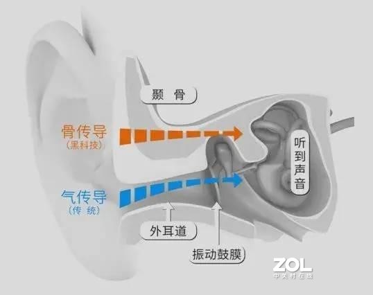 运动、听书利器，韶音AS660骨传导耳机体验