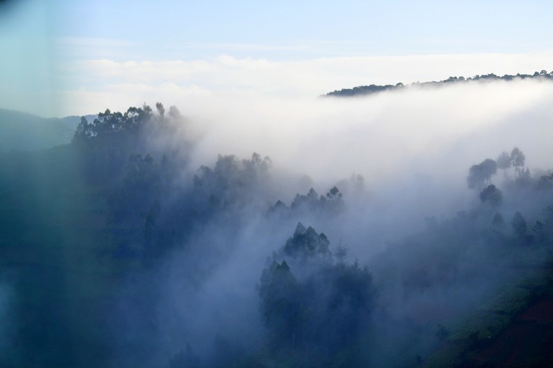 雾海一摄于乌干达
