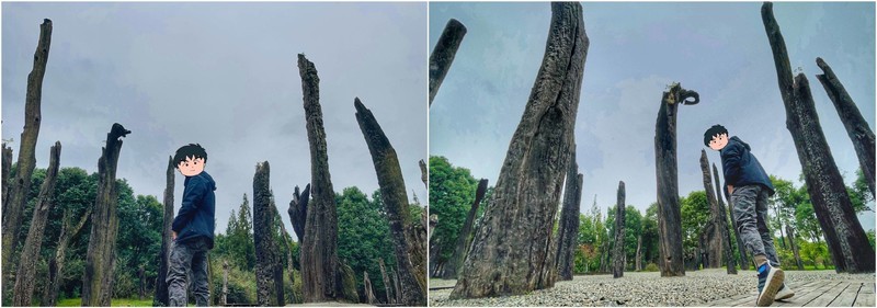 一杆搞定出游拍摄 浩瀚小Q稳拍杆体验