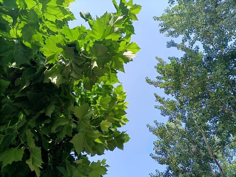 千元5G荣耀30青春版综合体验——换芯的青春依然别致