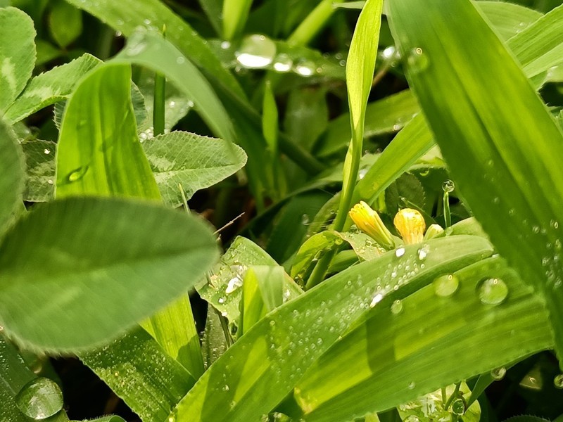 千元5G荣耀30青春版综合体验——换芯的青春依然别致