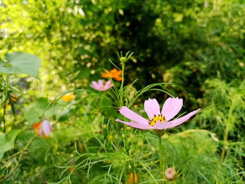 千元5G荣耀30青春版综合体验——换芯的青春依然别致