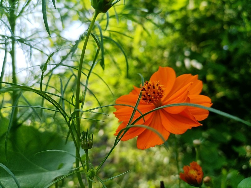 千元5G荣耀30青春版综合体验——换芯的青春依然别致