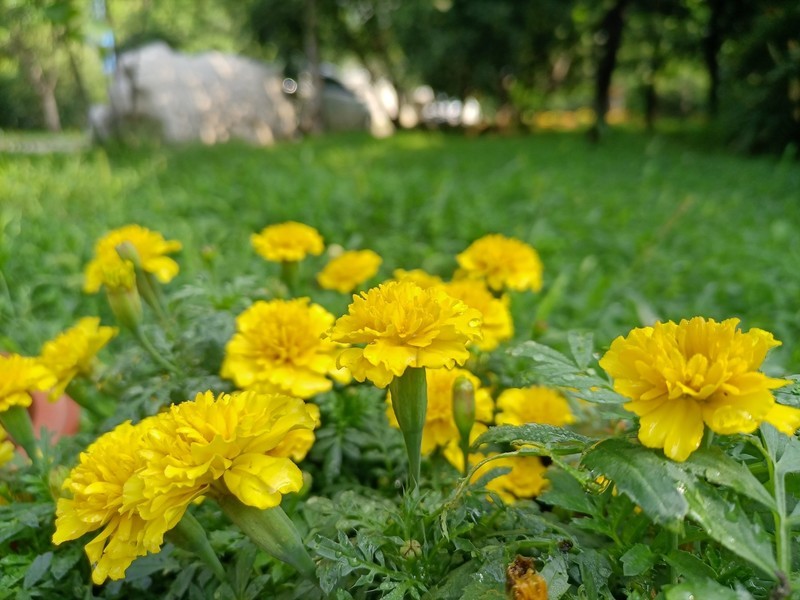 千元5G荣耀30青春版综合体验——换芯的青春依然别致