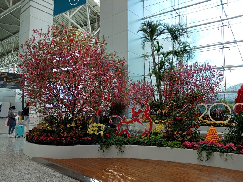 华为畅享10e拍照效果是这样的