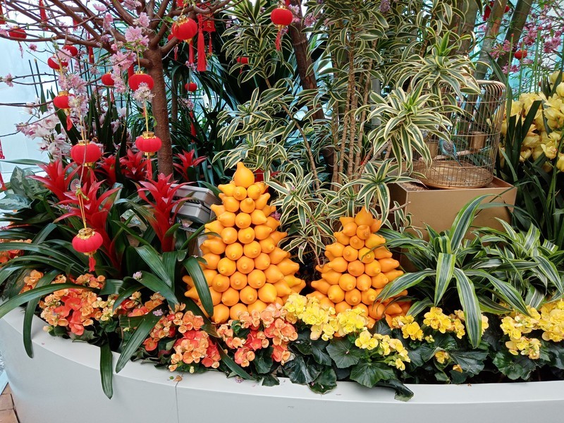 华为畅享10e拍照效果是这样的