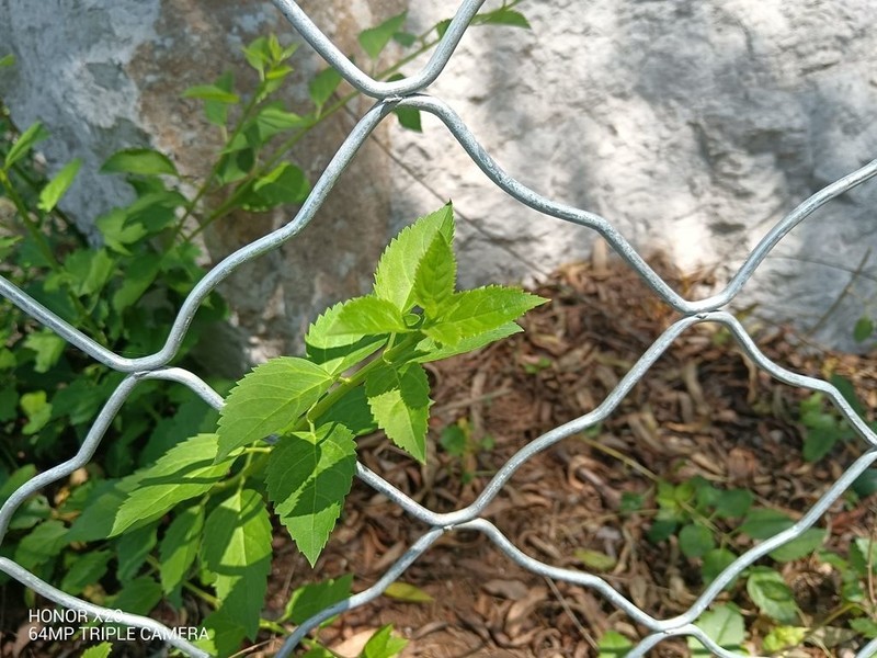 120Hz高刷全视屏、66W超级快充，畅快到起飞，荣耀X20全面测评