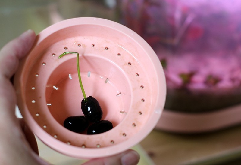 生态设计花鱼共生，画法几何两栖生态鱼缸养鱼更轻松