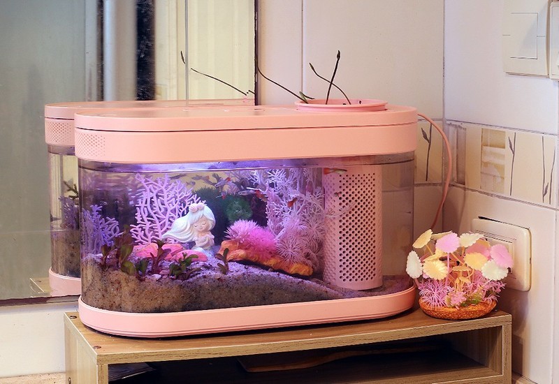 生态设计花鱼共生，画法几何两栖生态鱼缸养鱼更轻松