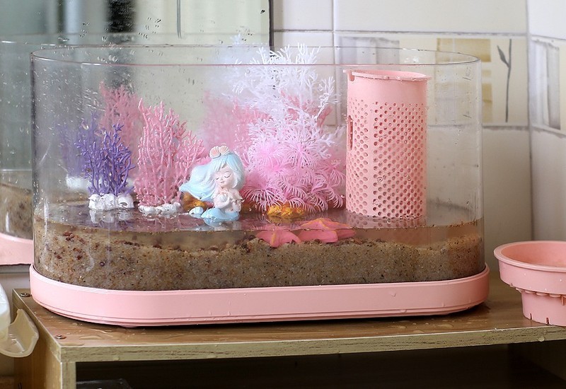 生态设计花鱼共生，画法几何两栖生态鱼缸养鱼更轻松