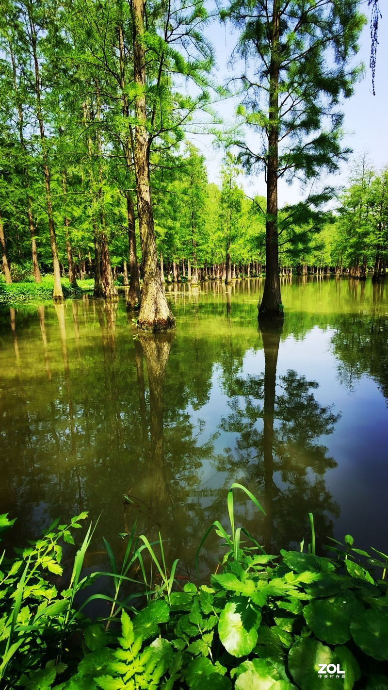 青西郊野公园一游