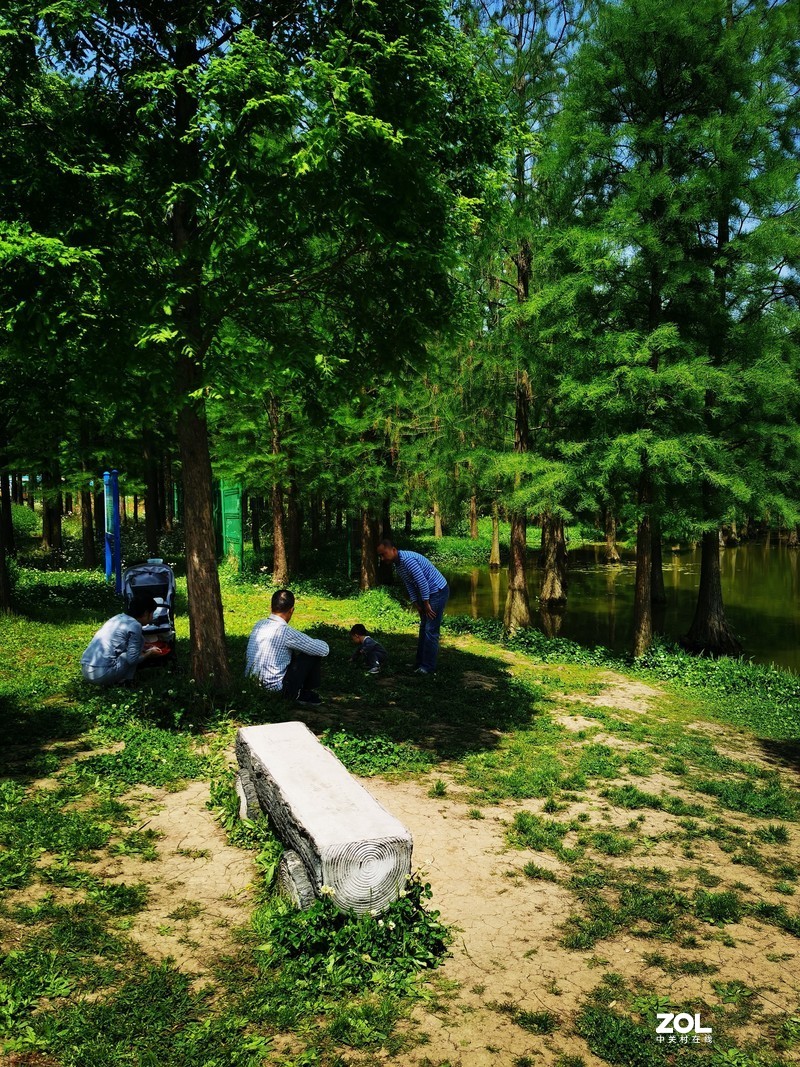 青西郊野公园一游