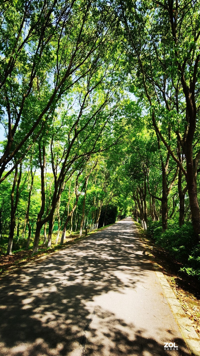 青西郊野公园一游