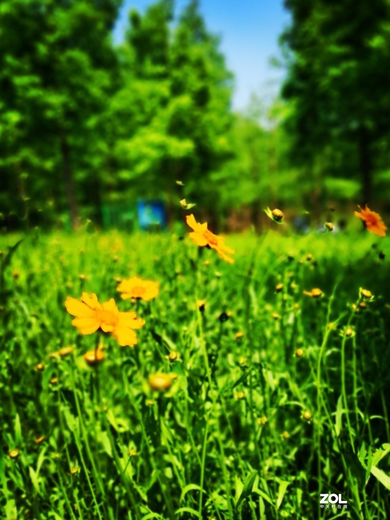 青西郊野公园一游