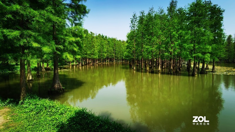 青西郊野公园一游