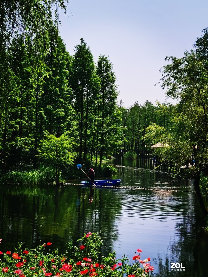 青西郊野公园一游