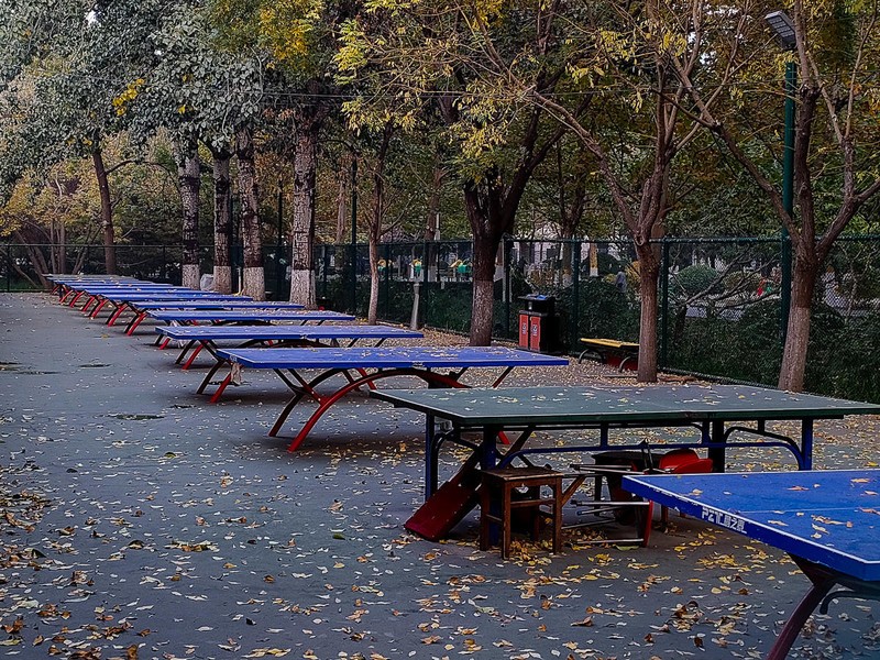 加量不加价，OPPO K9s上手，千元真香机是否名副其实？