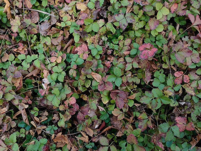 加量不加价，OPPO K9s上手，千元真香机是否名副其实？