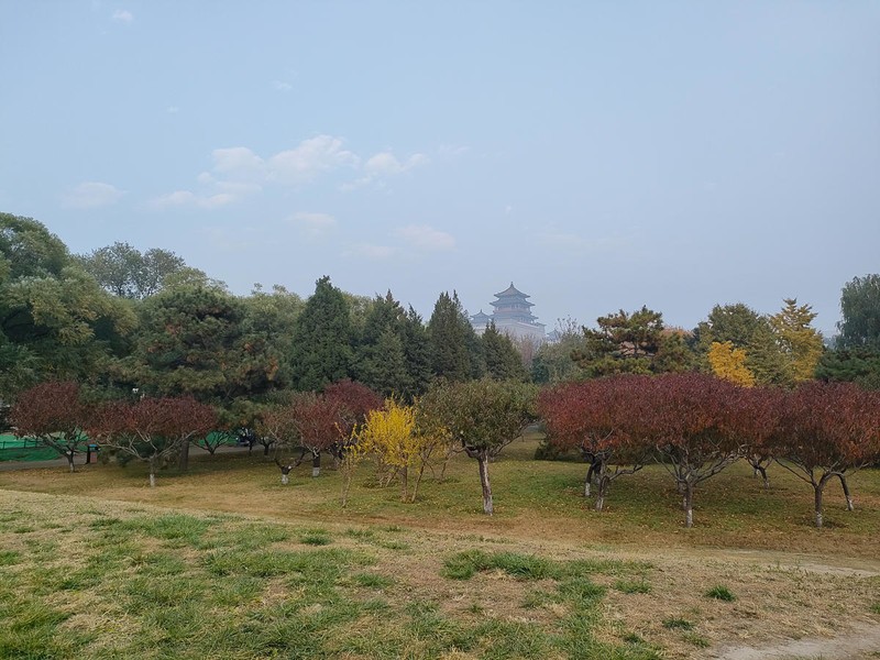 加量不加价，OPPO K9s上手，千元真香机是否名副其实？