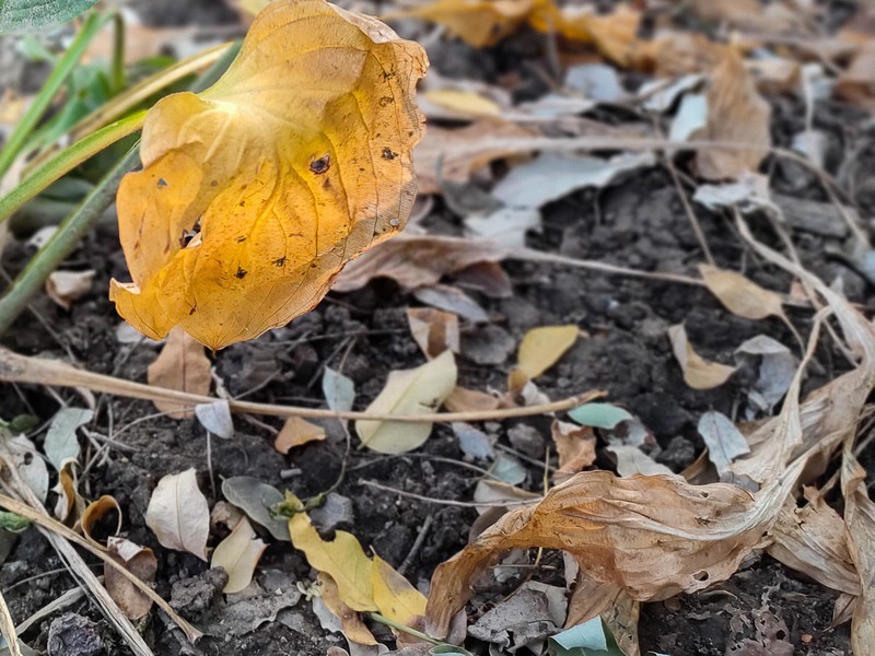 加量不加价，OPPO K9s上手，千元真香机是否名副其实？