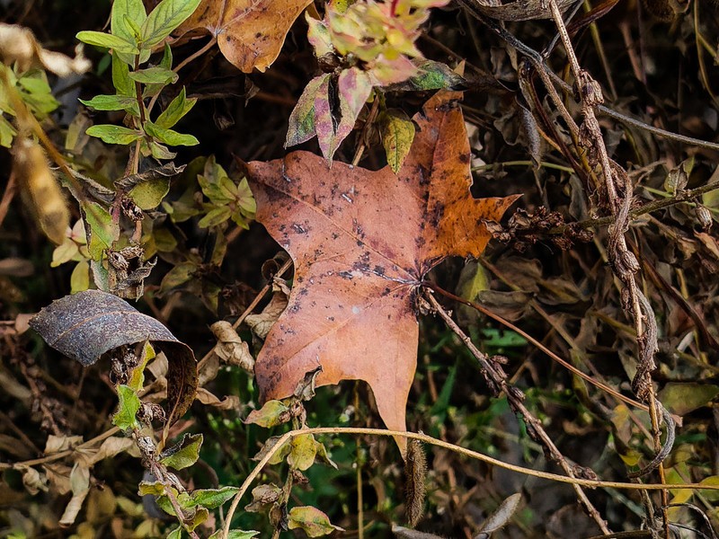 加量不加价，OPPO K9s上手，千元真香机是否名副其实？