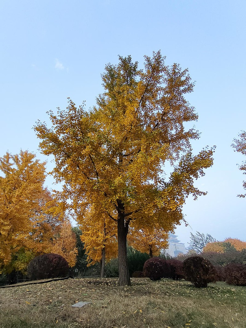 加量不加价，OPPO K9s上手，千元真香机是否名副其实？