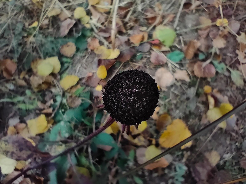 加量不加价，OPPO K9s上手，千元真香机是否名副其实？