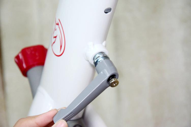 新年剁手了野小兽S1健身车，占地0.5平方，享受骑行有氧燃脂