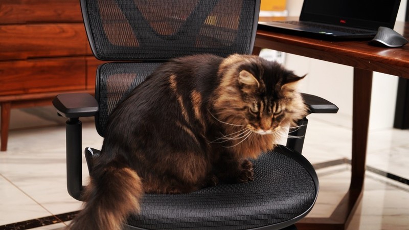 高品质办公不可或缺之一——永艺电脑椅