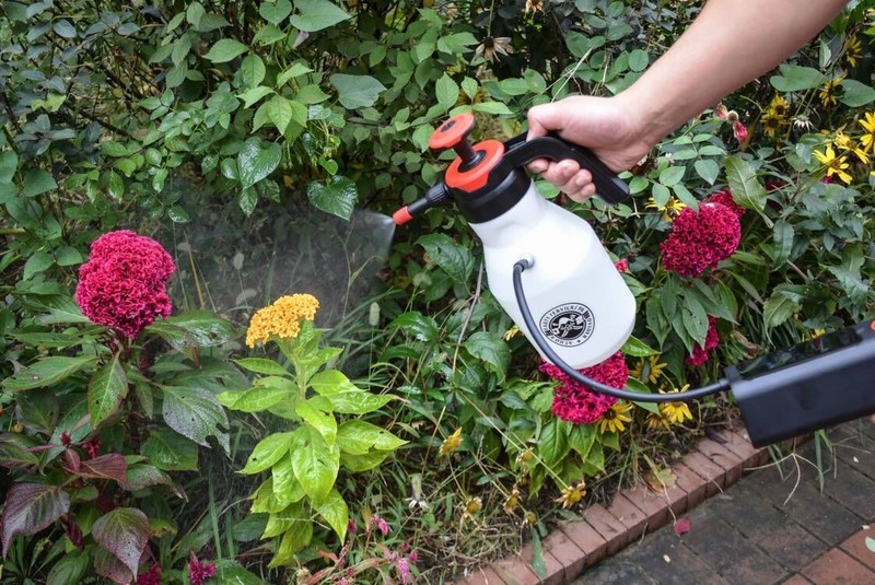 便携强劲，摆脱线材束缚！骑记P1充气宝体验