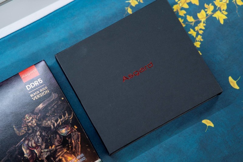 阿斯加特DDR5内存评测，12代平台2条也能四通道