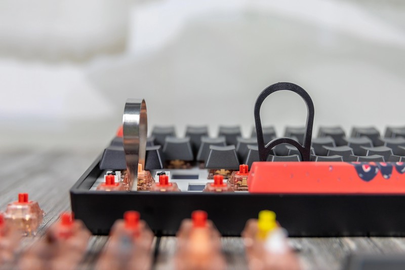 机械键盘也能玩静音，小呆虫Lite Gasket 轻弹版拆解