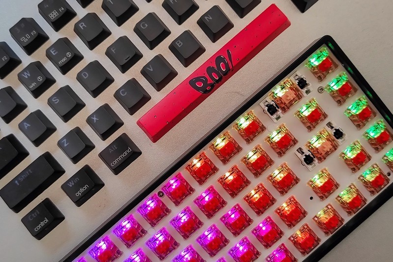 机械键盘也能玩静音，小呆虫Lite Gasket 轻弹版拆解