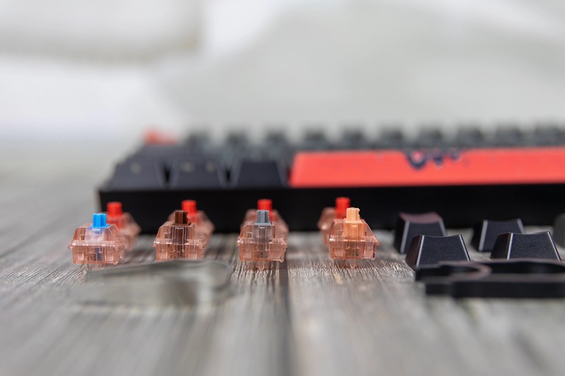 机械键盘也能玩静音，小呆虫Lite Gasket 轻弹版拆解