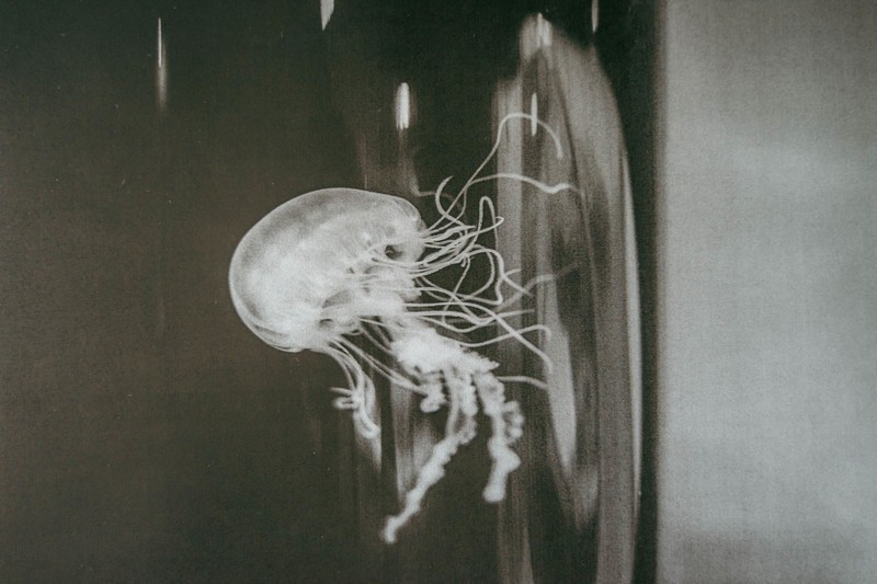 有了它再也不用去给打印店做贡献了，一部老年机的钱，全家都能用