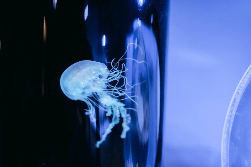 有了它再也不用去给打印店做贡献了，一部老年机的钱，全家都能用